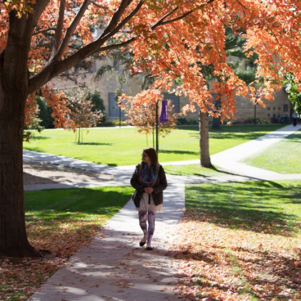 College for Women St. Catherine University